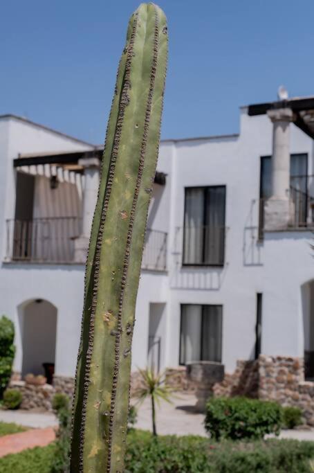 Casa Quiote *